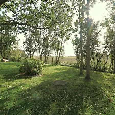 Alter Weidenhof